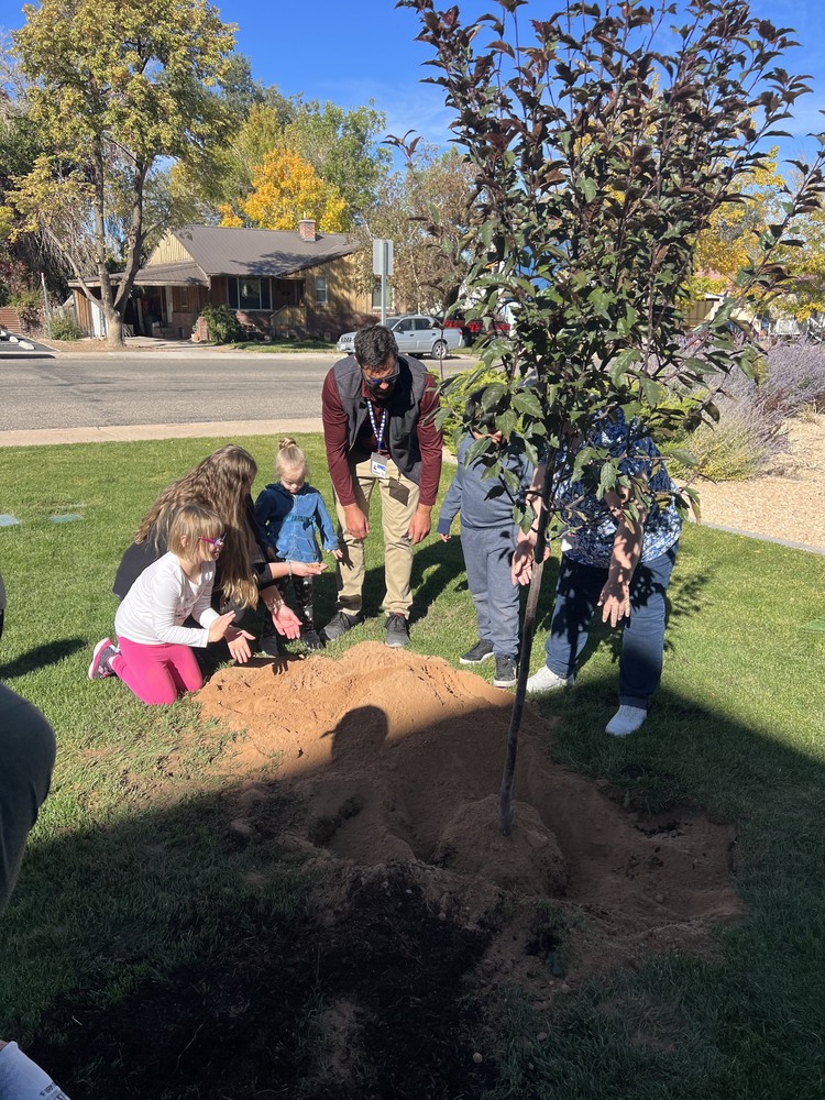 Students helping to plant a tree at North Elementary