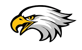 drawing of head of eagle