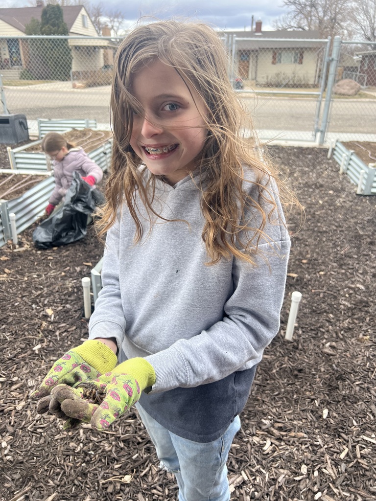 A 5th grade girl helps in the garden.