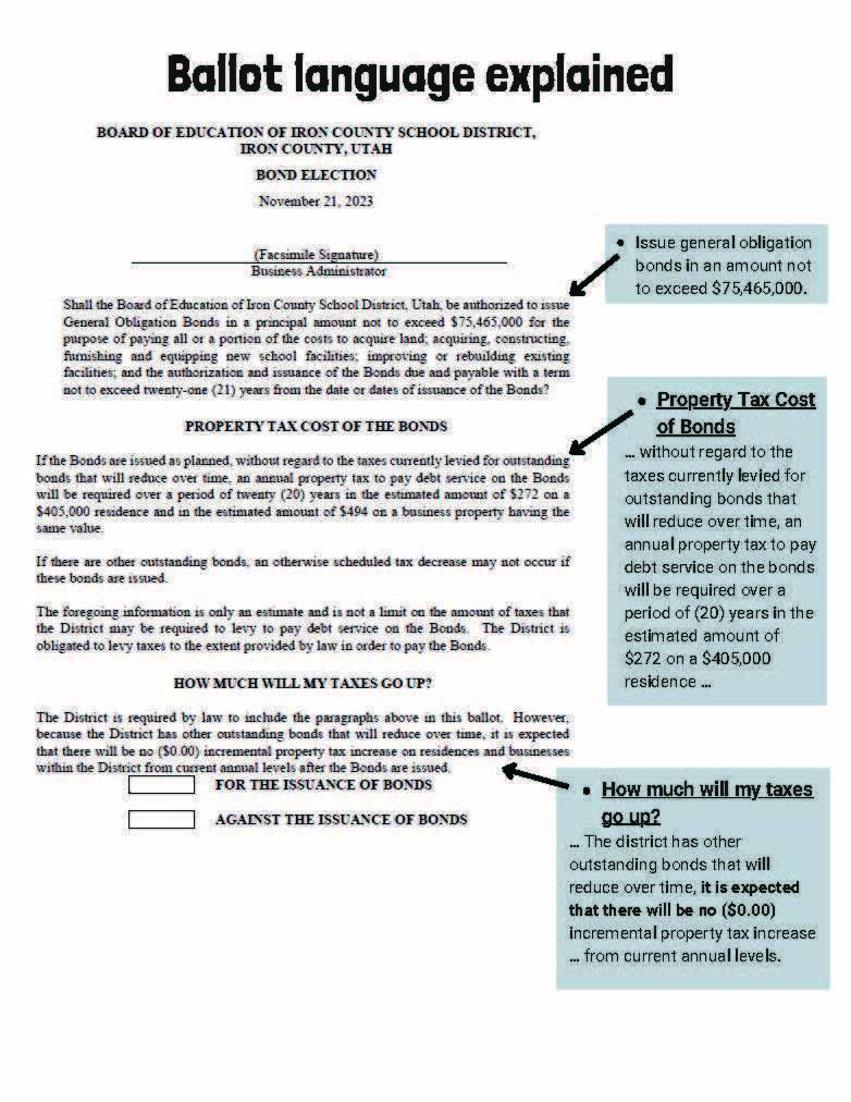 Pic showing ballot language explained