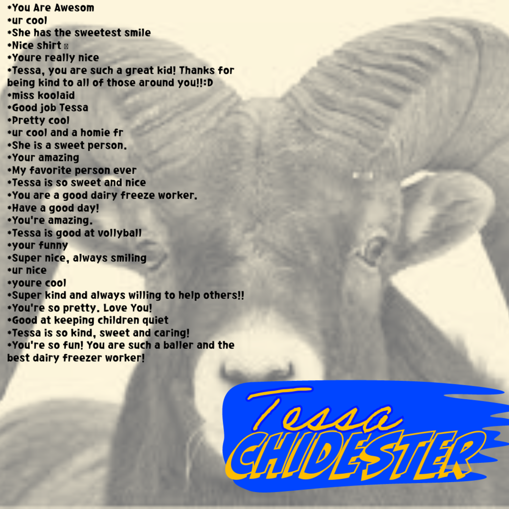 Chidester
